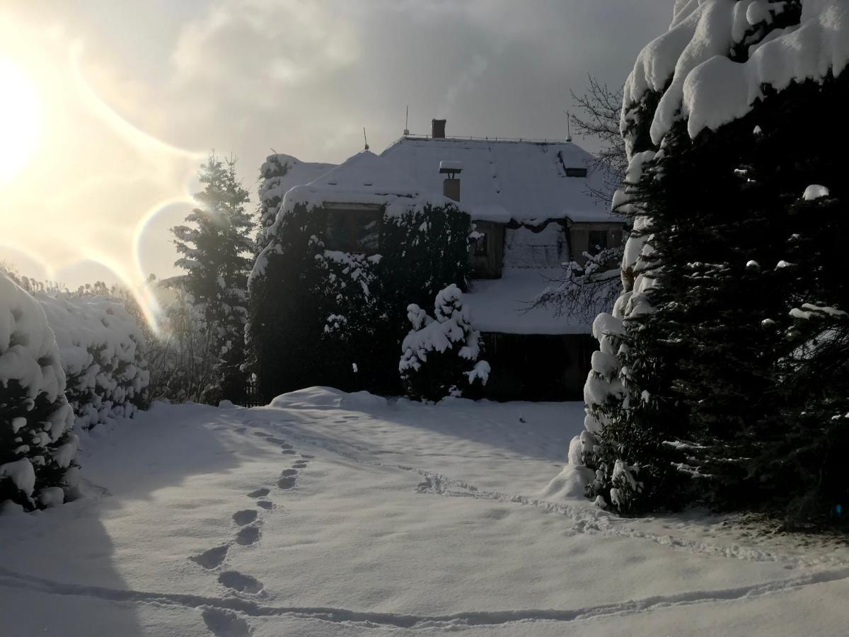Apartman Rekys Jiretin pod Bukovou Extérieur photo
